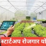 Startup Rojgar Yojana 2025 : युवा उद्यमिता, लोन, ट्रेनिंग और ऑनलाइन आवेदन Startup Rojgar Yojana