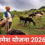 Mahamesh Yojana 2026 : बकरी पालन सब्सिडी, आवेदन व लाभ mahamesh yojana